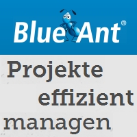 Blue Ant Blue Ant