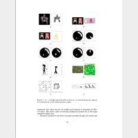 A Picture-based Document Retrieval Service for the Electronic Visualization Library A Picture-based Document Retrieval Service for the Electronic Visualization Library